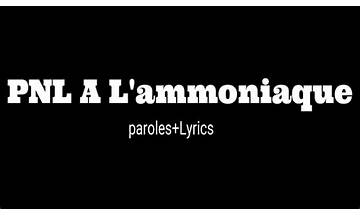 À l\'ammoniaque es Lyrics [PNL]