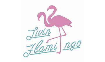 ロング・ヘアー ja Lyrics [Twin Flamingo]
