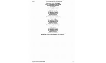 Alegria en Lyrics [NIVIRO]