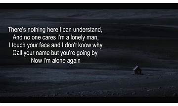 Alone Tonight en Lyrics [Radikal Hughes]