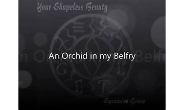 An Orchid In My Belfry en Lyrics [Your Shapeless Beauty]