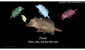 Bash the Rat en Lyrics [Embrace]