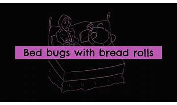 Bed Bugs en Lyrics [SURFBORT]