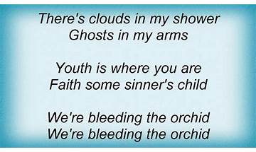 Bleeding the Orchid en Lyrics [The Smashing Pumpkins]
