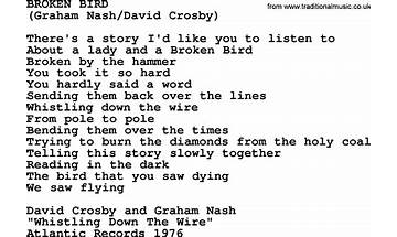 Broken Bird en Lyrics [Beatie Wolfe]