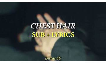 Chest Hair en Lyrics [Sitting On Stacy]