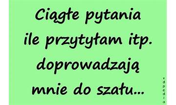 Ciągłe pytania pl Lyrics [Apatia]