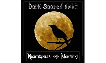 Dark Nightingales en Lyrics [Andrea Schroeder]