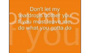 Don\'t Let My Teardrops Bother You en Lyrics [Dionne Warwick]