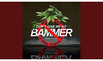 Don’t Give Me No Bammer Weed en Lyrics [RBL Posse]