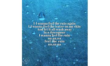Downpour en Lyrics [Flight Paths]