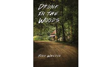 Drunk in the Woods en Lyrics [WALK THE MOON]