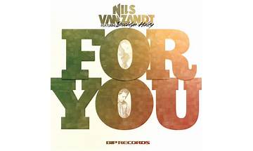 For You en Lyrics [Nils Van Zandt]