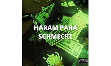 Haram Para Schmeckt 2 de Lyrics [Paschagönn]