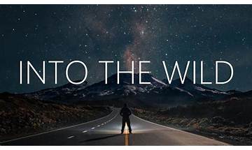 Into the Wild en Lyrics [Manic Drive]