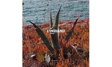 L\'Indiano it Lyrics [Intercity]