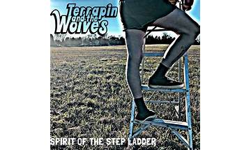 Lawnmower Shovel en Lyrics [Terrapin and the Wolves]