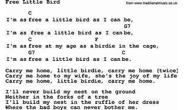 Little Bird en Lyrics [Little Wings]