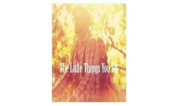 Little Things You Do en Lyrics [DOUBLE]
