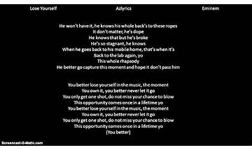 Lose Yourself pt Lyrics [Eminem]