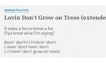 Lovin’ Don’t Grow on Trees en Lyrics [Samantha Fox]