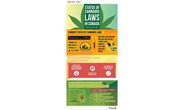 Marijuana laws en Lyrics [Ballyhoo!]