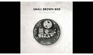 My Unanswered Whys... en Lyrics [Small Brown Bike]