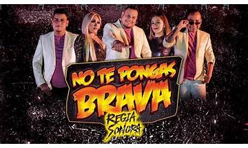 No Te Pongas Brava es Lyrics [Tonny Tun Tun]