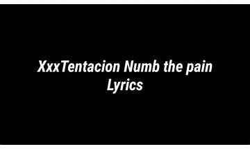 Numb The Pain en Lyrics [Naloh]