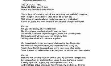 Old Oak Tree en Lyrics [The Yellow Dress]