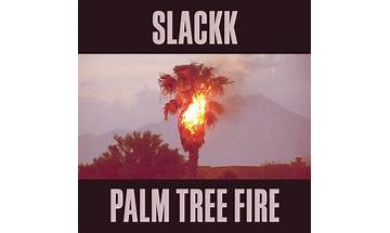 Palm Tree Fire en Lyrics [In the Valley Below]