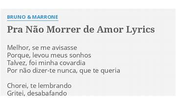 Pra Não Morrer de Amor pt Lyrics [Banda Calypso]