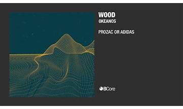 Prozac or Adidas en Lyrics [Wood (Spain)]
