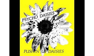 Psycho Daisies en Lyrics [The Yardbirds]