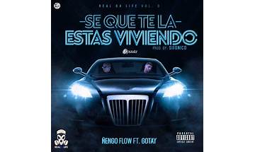 Sé Que Te La Estás Viviendo es Lyrics [Ñengo Flow]