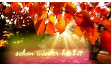 Schon wieder Herbst de Lyrics [Saltatio Mortis]