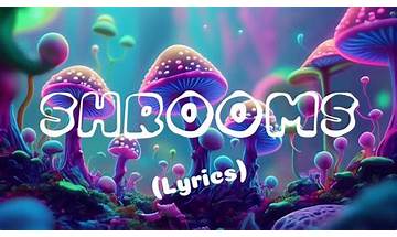 Shrooms en Lyrics [FIDLAR]