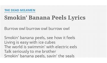 Smokin\' Banana Peels en Lyrics [The Dead Milkmen]