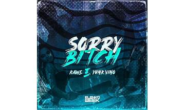 Sorry Bitch pt Lyrics [Kawe]
