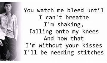 Stitches en Lyrics [Alex Goot]