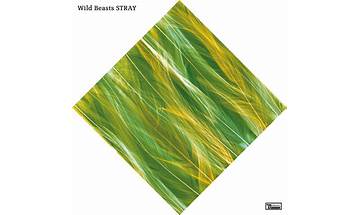 Stray en Lyrics [Wild Beasts]
