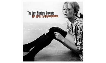The Age of the Understatement en Lyrics [The Last Shadow Puppets]