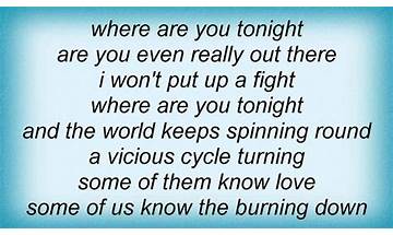 The Burning Down en Lyrics [Ninja Sex Party]