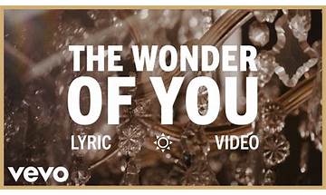 The Wonder Of You en Lyrics [Elvis Presley]