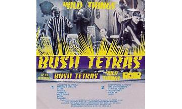 Things That Go Boom In The Night en Lyrics [Bush Tetras]