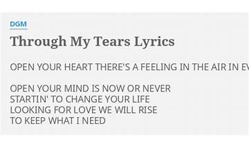 Through My Tears en Lyrics [DGM]