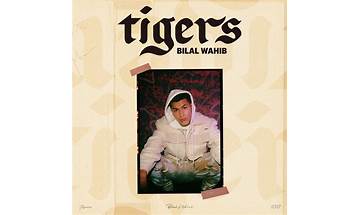 Tigers nl Lyrics [Bilal Wahib]