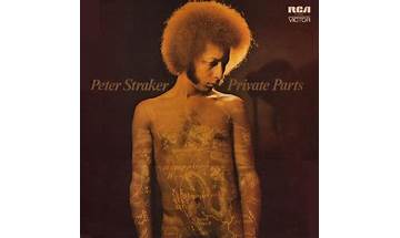 When Love Was Hard to Come By en Lyrics [Peter Straker]