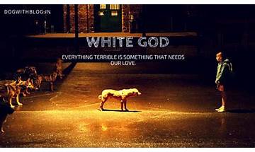 White God en Lyrics [Koda]