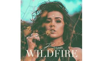 Wildfire en Lyrics [Noosa]